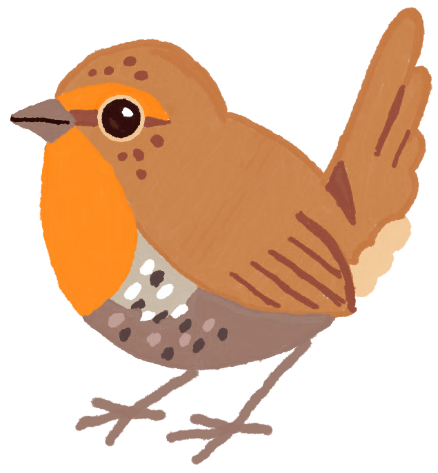 bird image