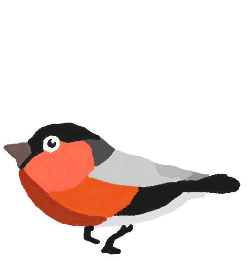 bird image