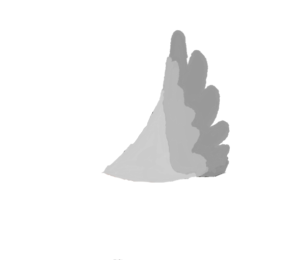 wing image