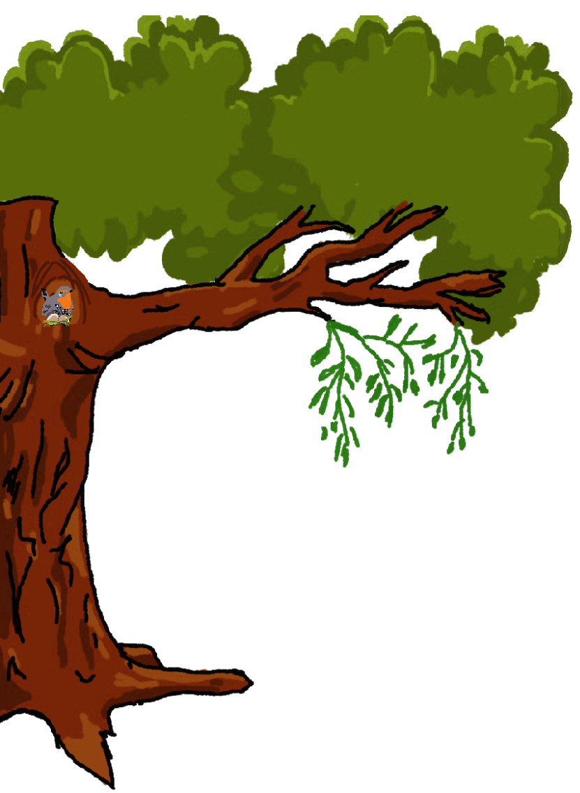 tree image